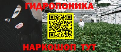 прущие грибы Рыбинск