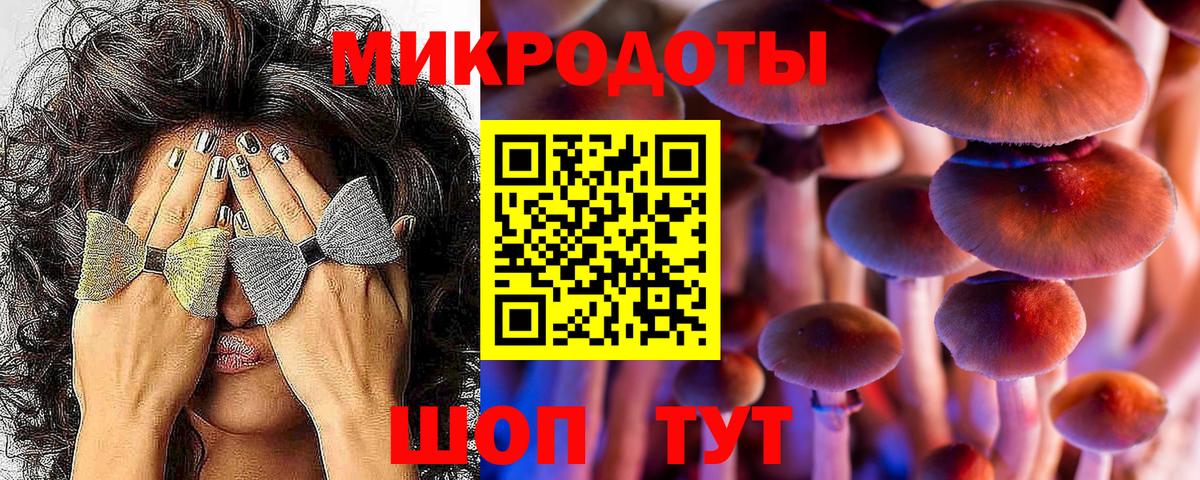 Симферополь  Галлюциногенные грибы Psilocybe  Вход с VPN 